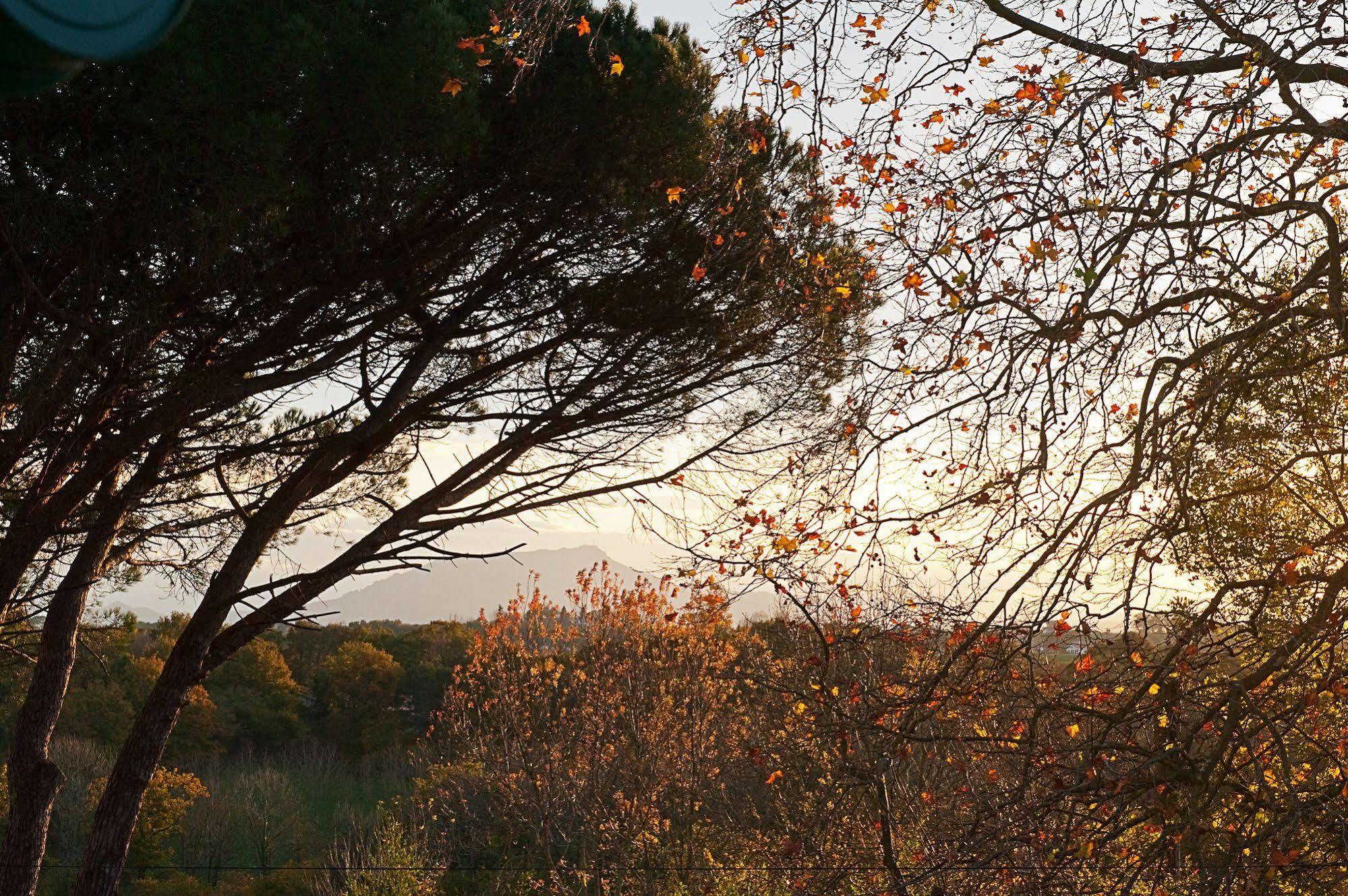Bed and Breakfast Iparra Arcangues Exterior foto